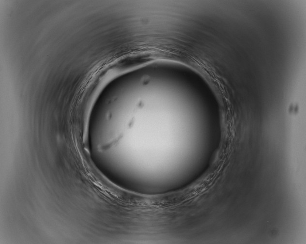 X0000116160241200911231411