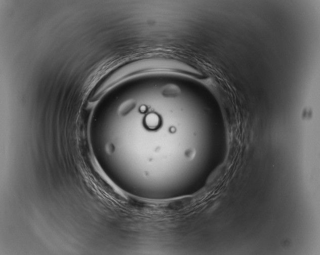 X0000116160242200911231411