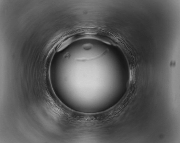 X0000116160243200911231411