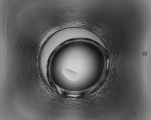 X0000116160244200911231412