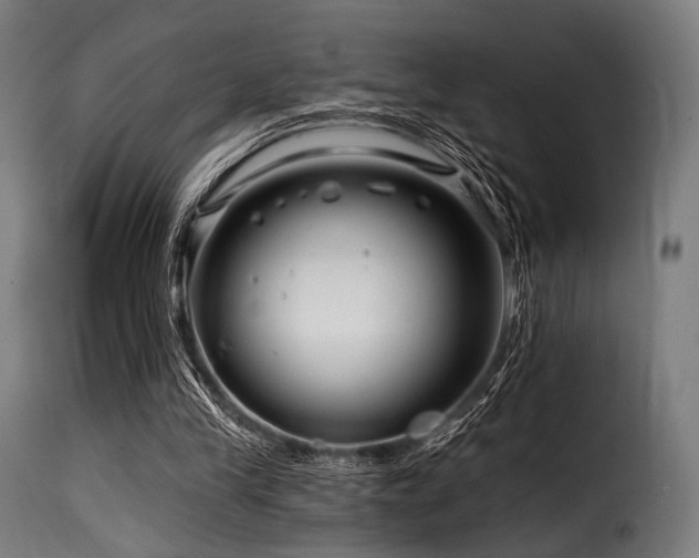 X0000116160245200911231412