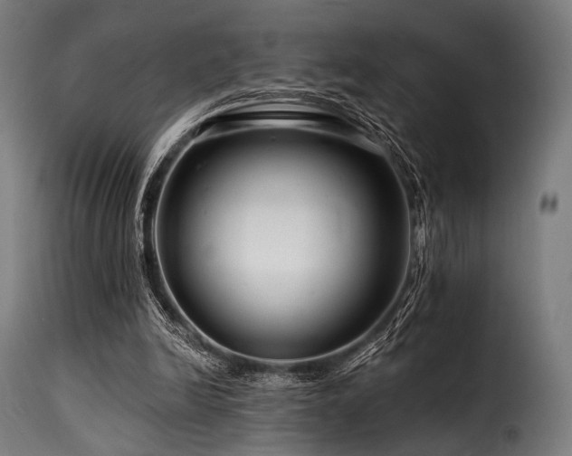 X0000116160246200911231412