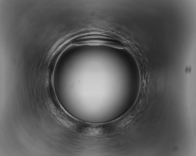 X0000116160247200911231412