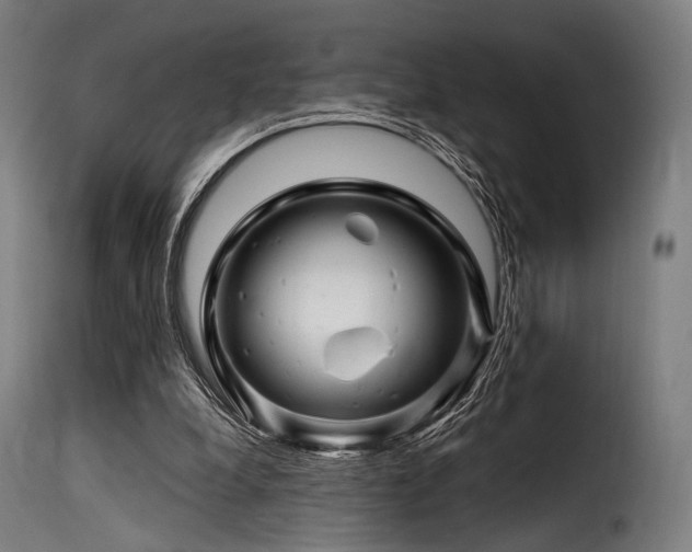 X0000116160248200911231412