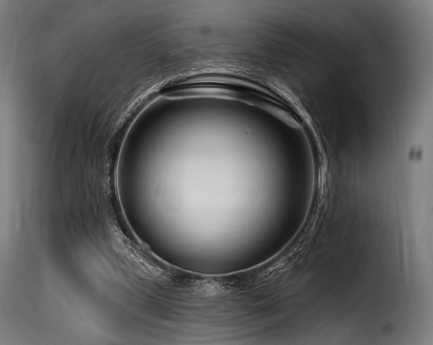 X0000116160249200911231412