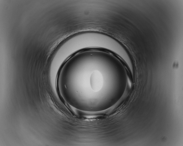 X0000116160252200911231412