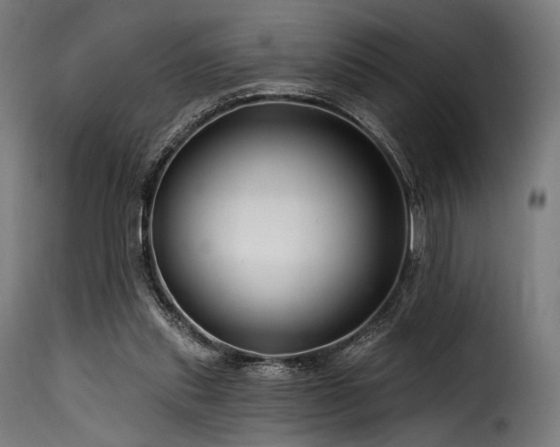 X0000116160253200911231412