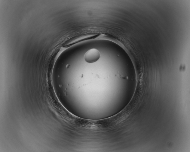 X0000116160254200911231412