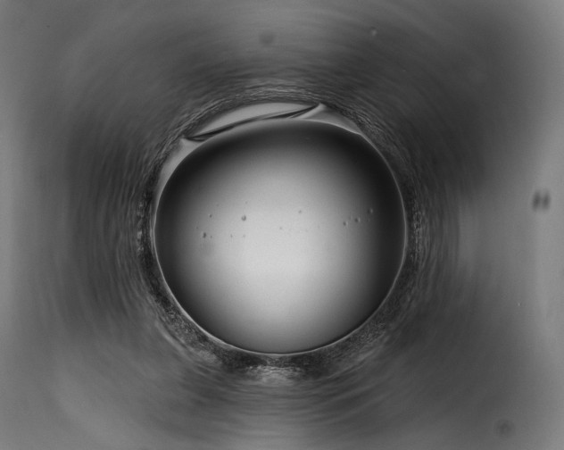 X0000116160255200911231412