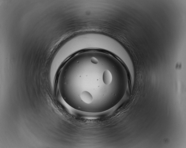 X0000116160256200911231412