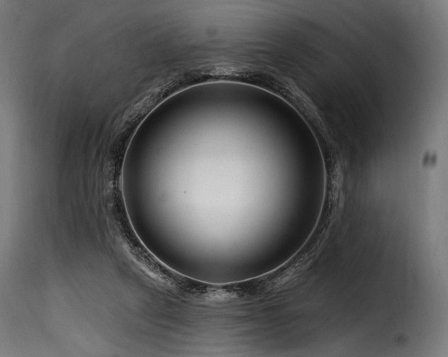 X0000116160257200911231412