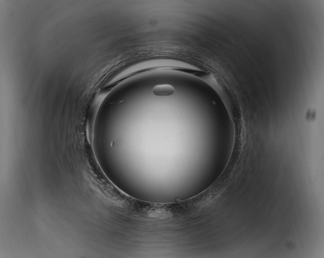 X0000116160258200911231412