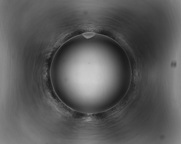 X0000116160259200911231412