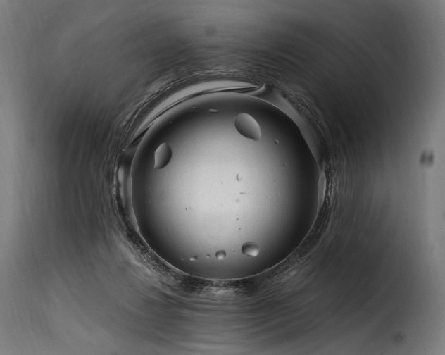 X0000116160260200911231412