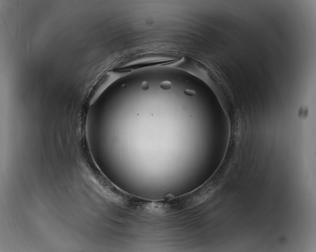 X0000116160261200911231412