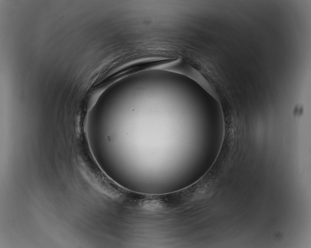 X0000116160262200911231412