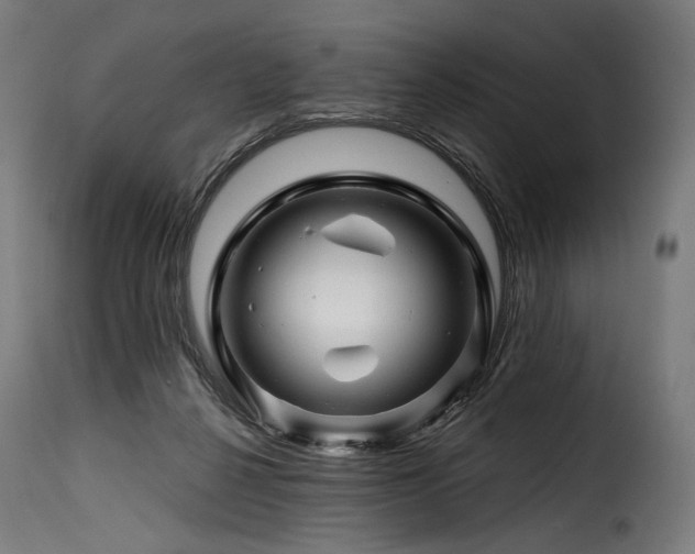 X0000116160264200911231412