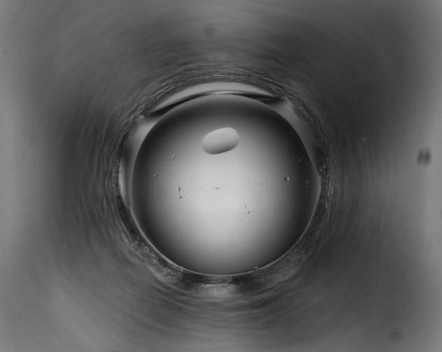 X0000116160266200911231412