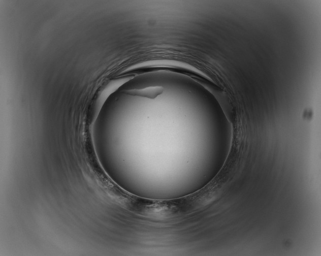 X0000116160267200911231412