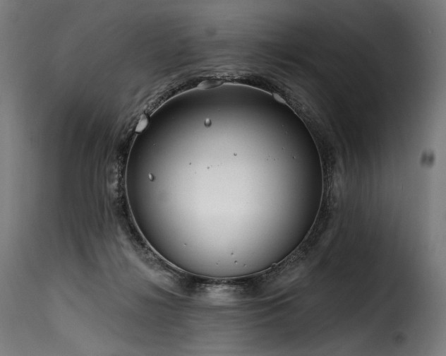 X0000116160268200911231412