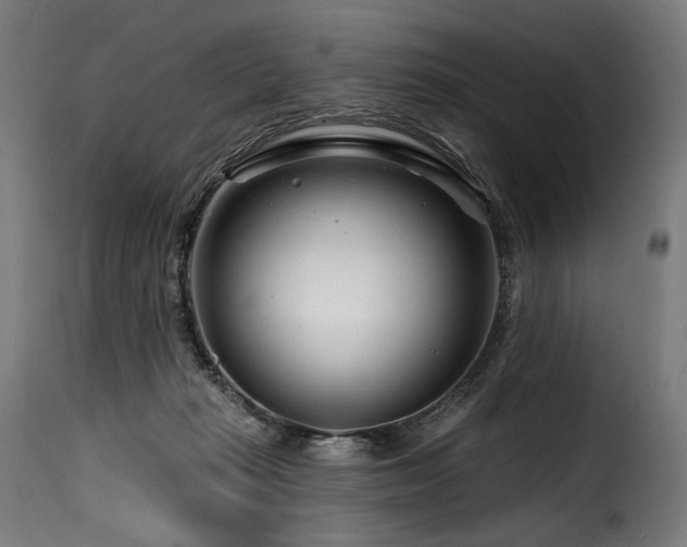 X0000116160269200911231412