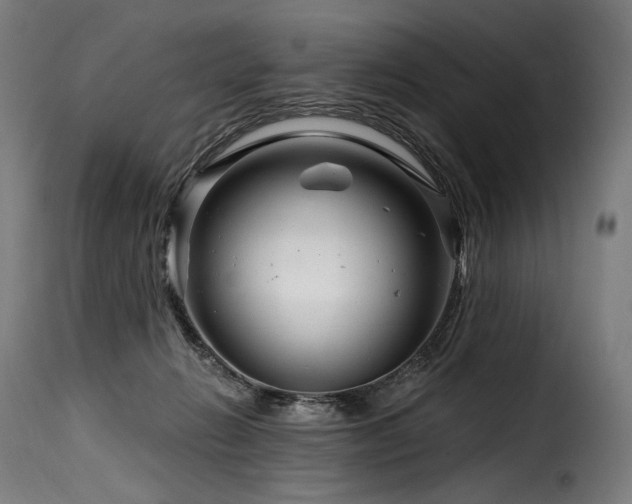 X0000116160270200911231412