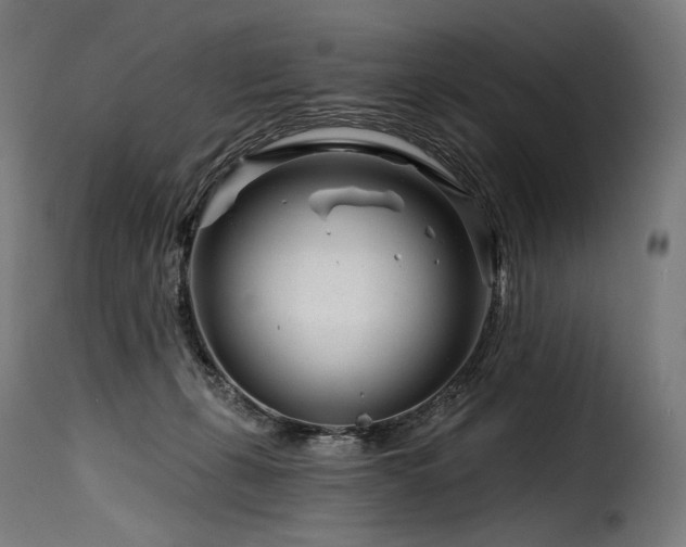 X0000116160271200911231412