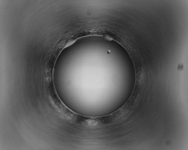 X0000116160272200911231412