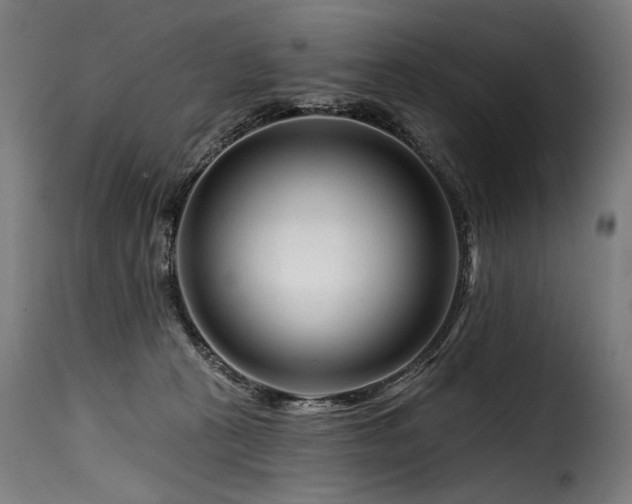 X0000116160273200911231412