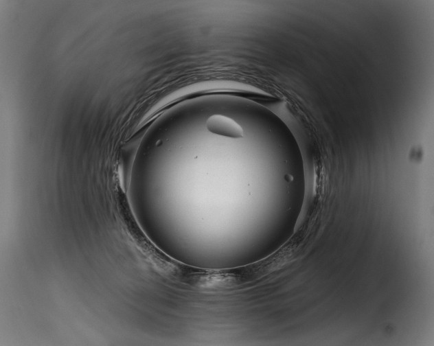 X0000116160274200911231412