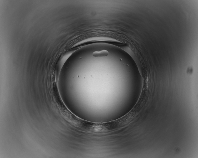 X0000116160275200911231412