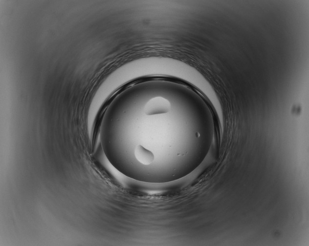 X0000116160276200911231412