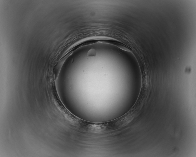 X0000116160277200911231412