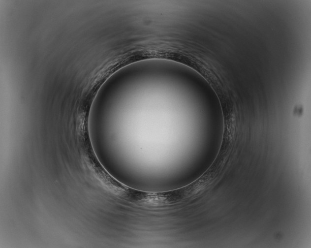 X0000116160278200911231412