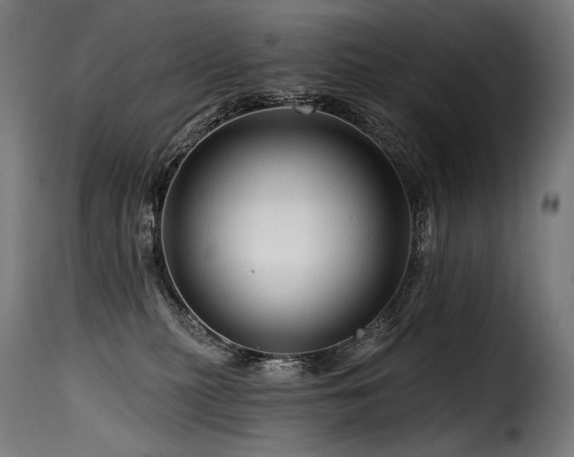 X0000116160279200911231412