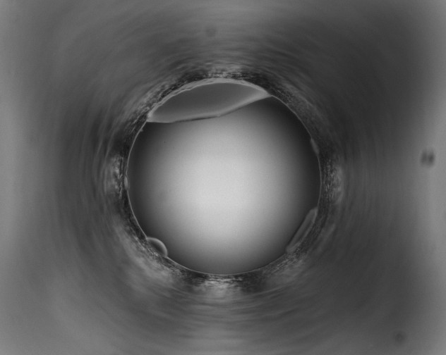 X0000116160280200911231412