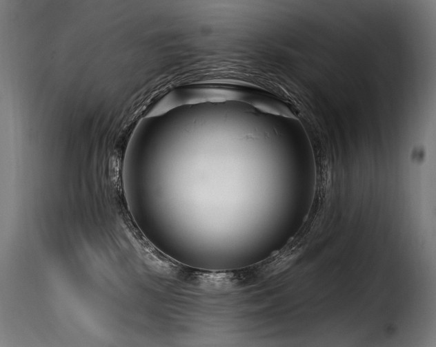 X0000116160281200911231412