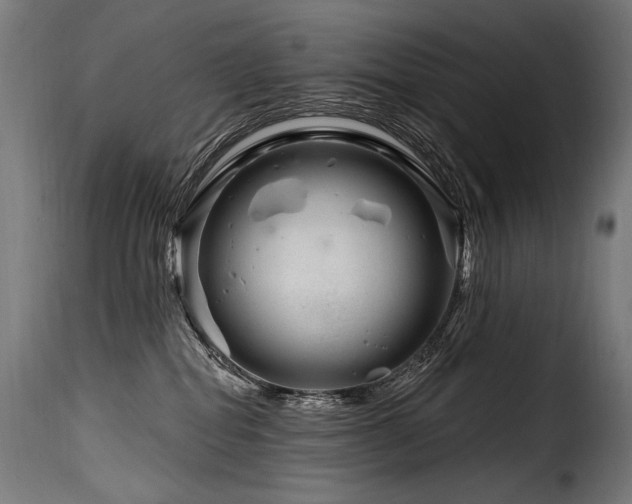 X0000116160282200911231412