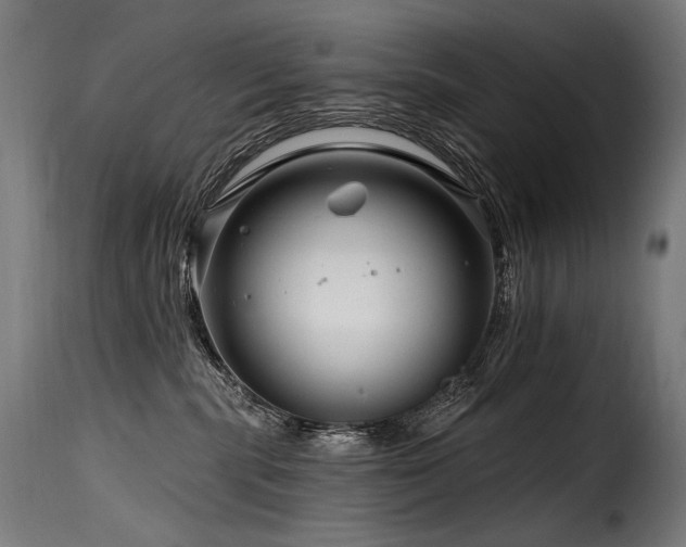 X0000116160283200911231412