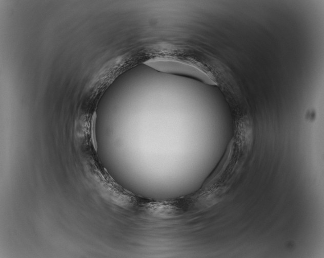 X0000116160284200911231412