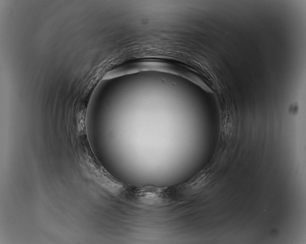 X0000116160285200911231412