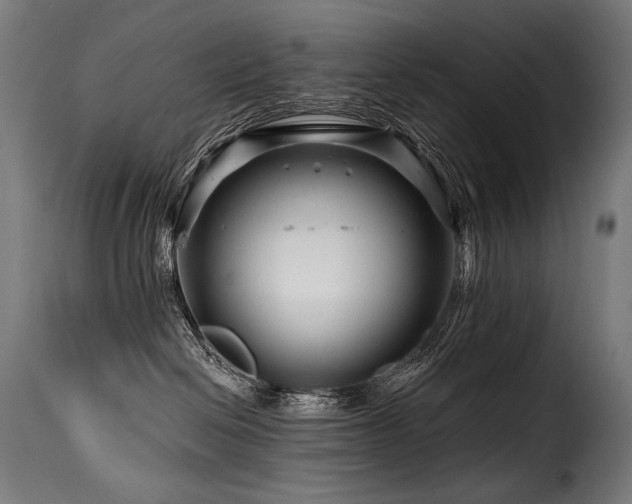 X0000116160286200911231412