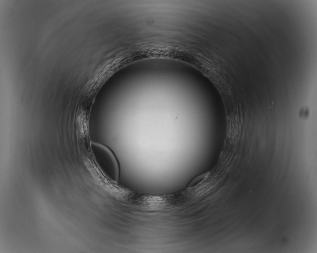 X0000116160287200911231412