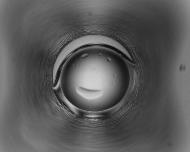 X0000116160288200911231412