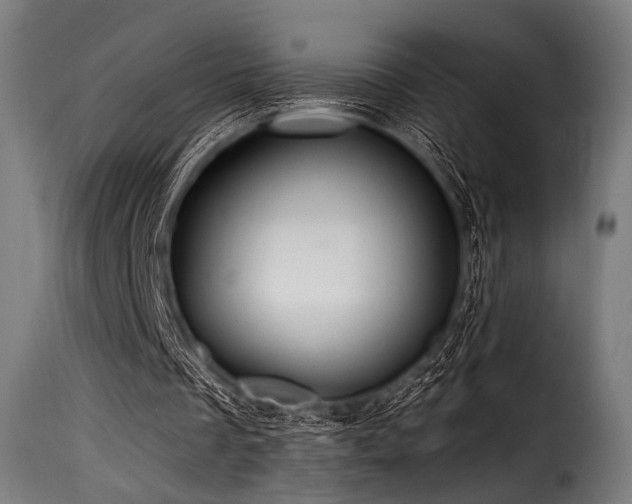 X0000116160289200911231411