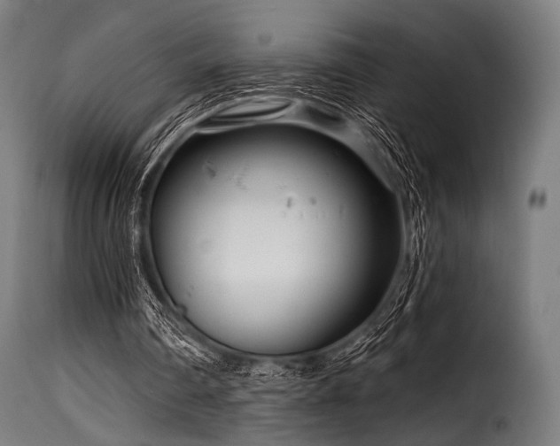 X0000116160290200911231411