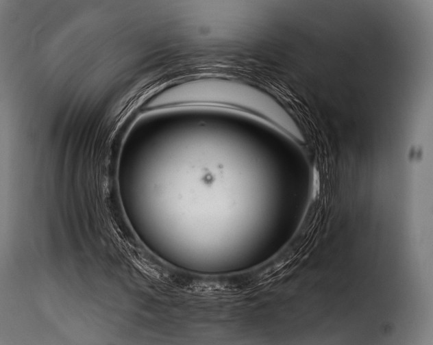 X0000116160291200911231411