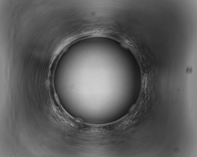 X0000116160292200911231411