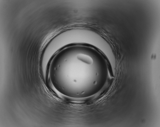 X0000116160293200911231411