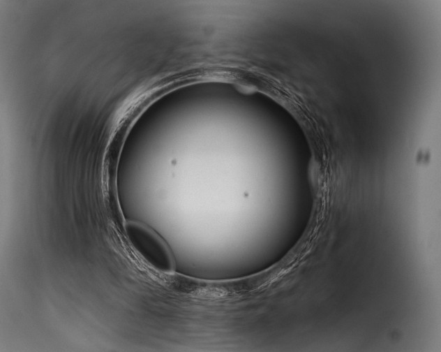 X0000116160294200911231411